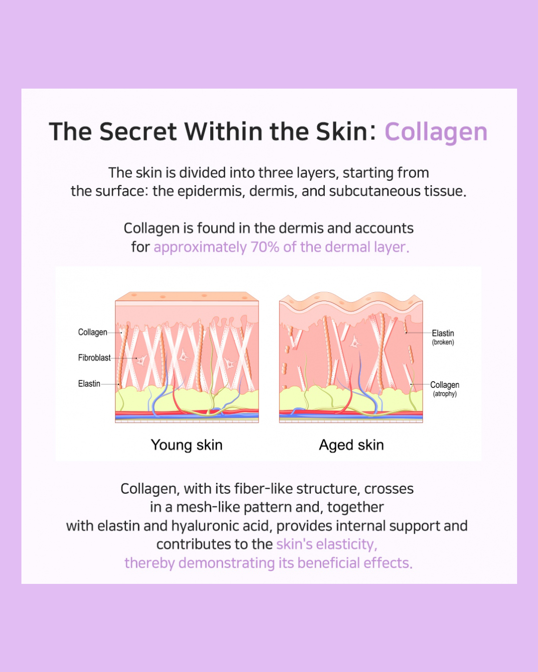 [APLB] Collagen EGF Peptide E Beauty Tablet