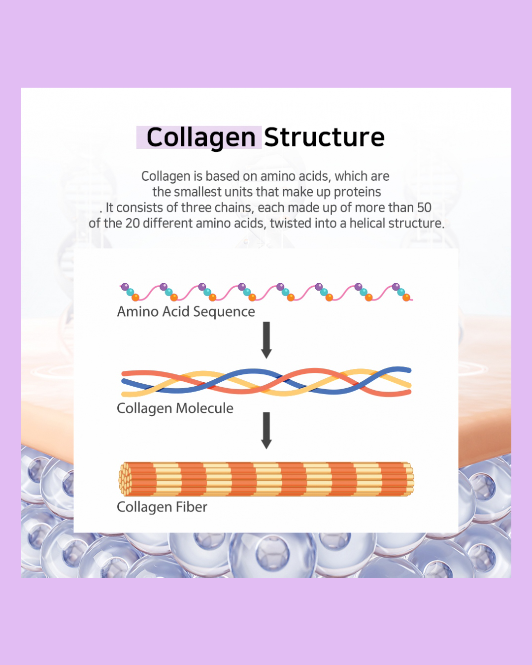 [APLB] Collagen EGF Peptide E Beauty Tablet